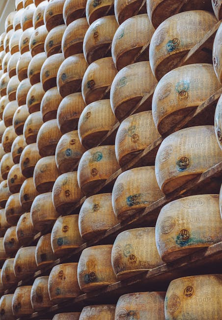 Parma cheese shop Parmigiano Reggiano wheels display
