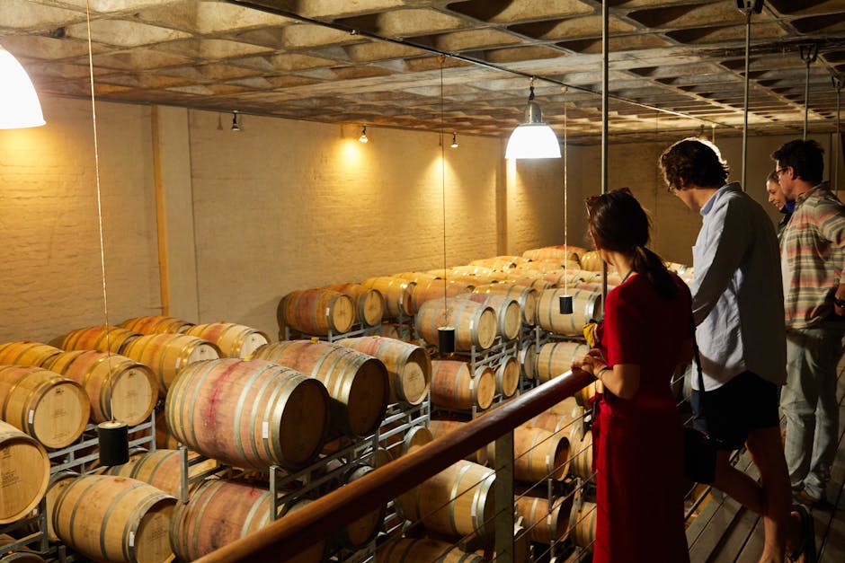 Small Italian winery tasting room